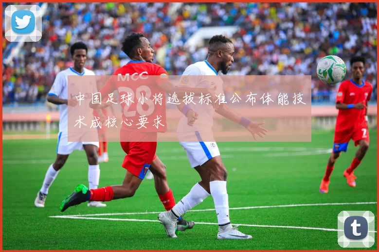 中国足球小将选拔标准公布体能技术成核心要求