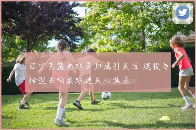 辽宁男篮老球员归属引关注 退役与转型去向成球迷关心焦点