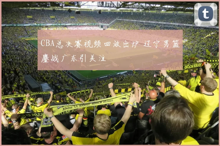 CBA总决赛视频回放出炉 辽宁男篮鏖战广东引关注